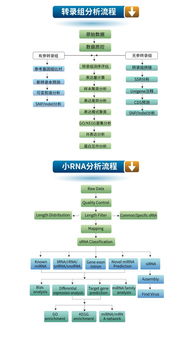生工生物優質技術服務推薦 高通量測序與轉錄組、小RNA分析
